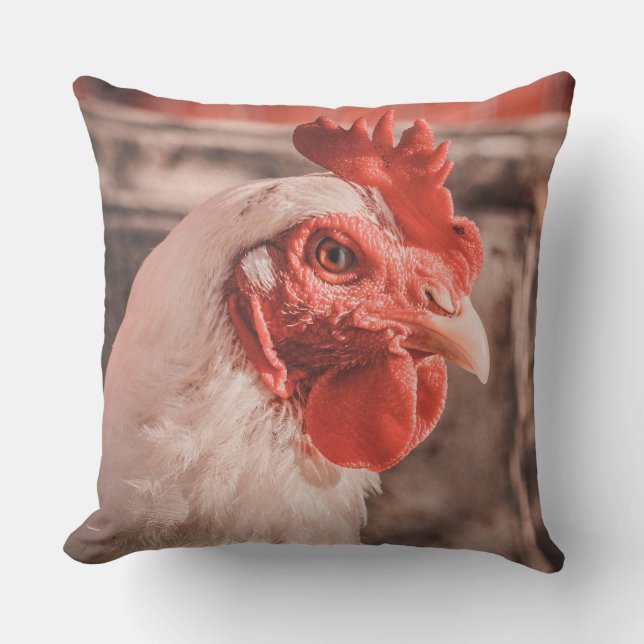 Cojín Decorativo Pillow de pollo de granja (Anverso)