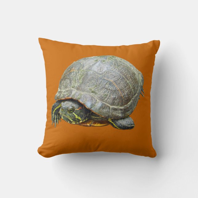Cojín Decorativo Pillow de tortuga pintada (Anverso)