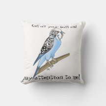 Pillow del buscador de atención de Budgie