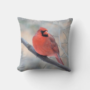 Cojín Decorativo Pillow del cardenal rojo Pose