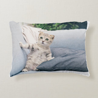 Cojín Decorativo Pillow del gato