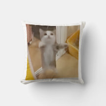 Pillow del gato feliz