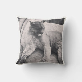 Cojín Decorativo Pillow del gato grande