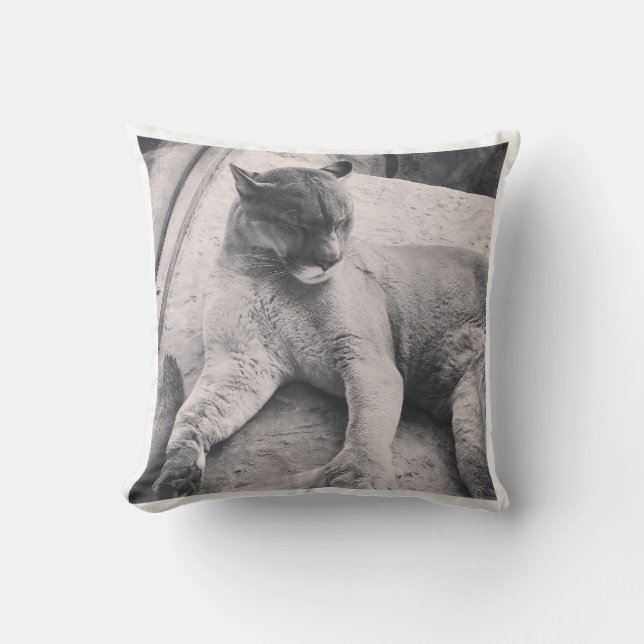 Cojín Decorativo Pillow del gato grande (Anverso)