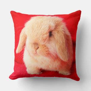 Cojín Decorativo Pillow del pequeño conejo