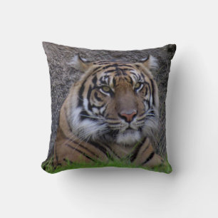 Cojín Decorativo Pillow del tigre de Bengala (4765)
