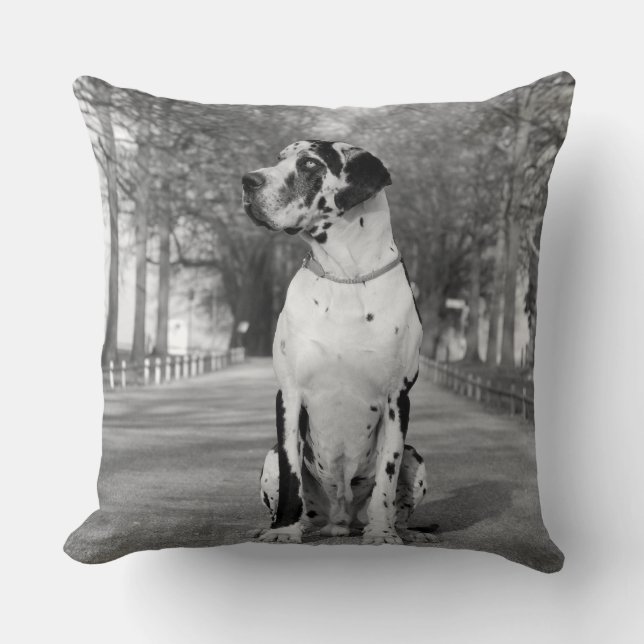 Cojín Decorativo Pillow Great Dane (Anverso)