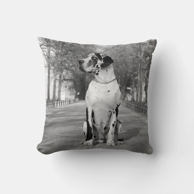 Cojín Decorativo Pillow Great Dane (Anverso)