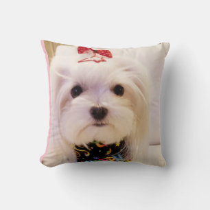 Cojín Decorativo Pillow maltés