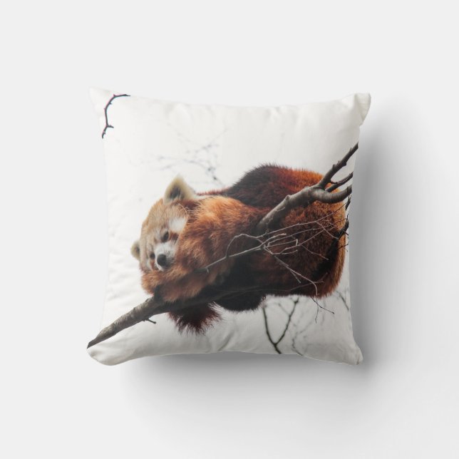 Cojín Decorativo Pillow mojo rojo panda americano (Anverso)