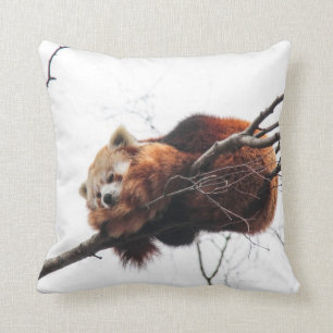 Cojín Decorativo Pillow mojo rojo panda americano