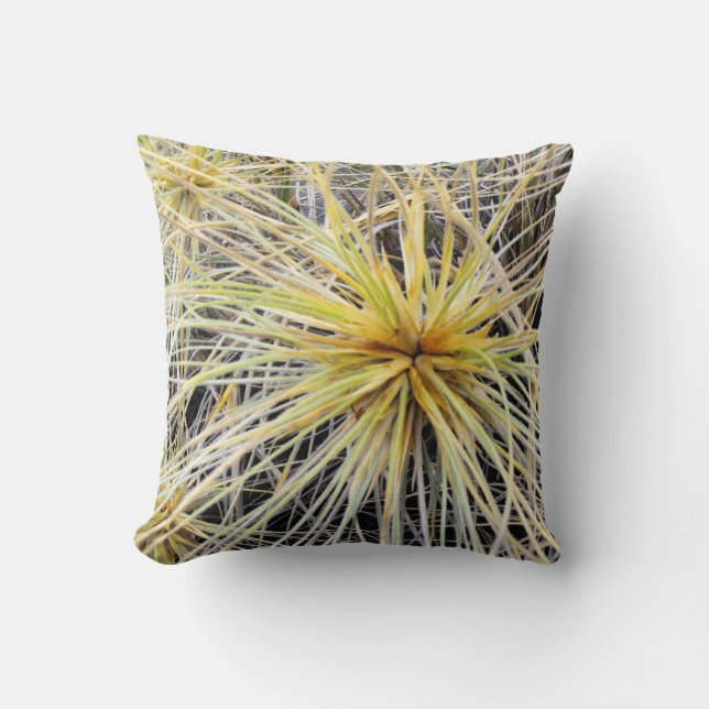 Cojín Decorativo Pillow Muestra Grasa Spinifex (Anverso)