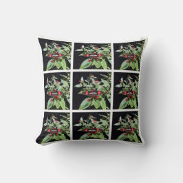 Cojín Decorativo Pillow negro y rojo en Costa Rica