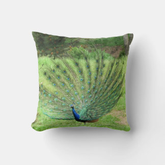 Cojín Decorativo Pillow - Peacock