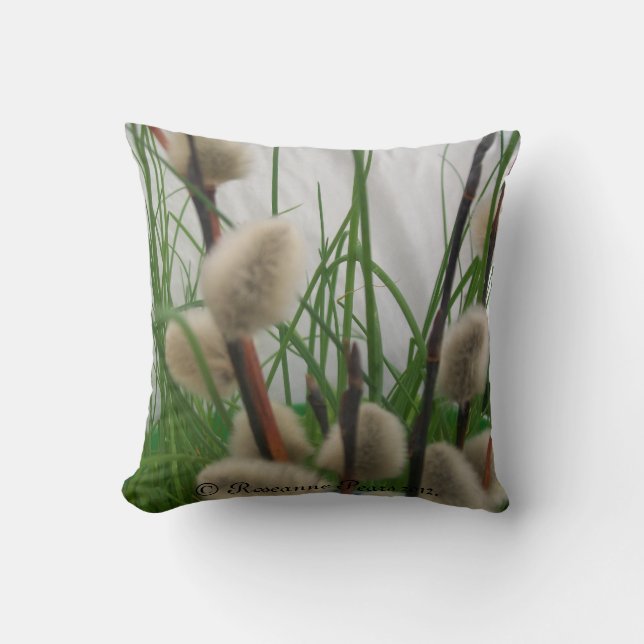 Cojín Decorativo Pillow (PussyWillowsInGrass) RFPMDesigns ©️ 2012 (Anverso)