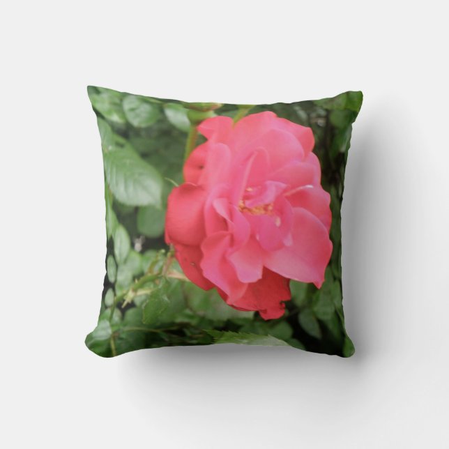 Cojín Decorativo Pillow Rosa salvaje (Anverso)