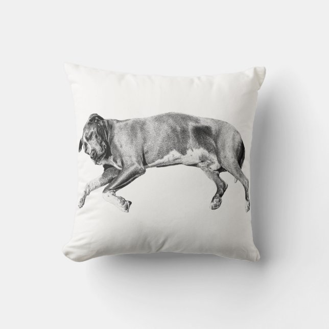 Cojín Decorativo Pillow-Side Dreams for December (Anverso)