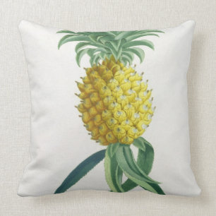 Cojín Decorativo Piña grabada por Juan Jacobo Haid (1704-67)