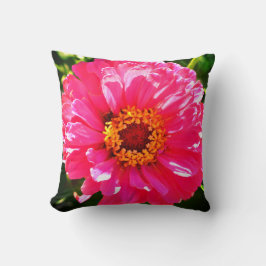 Cojín Decorativo Pink Zinnia