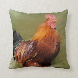 Cojín decorativo pintado aceite del pollo