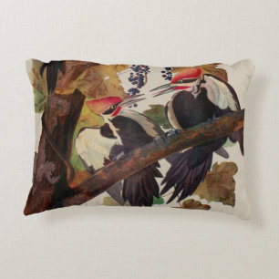 Cojín Decorativo Pintado de pájaro carpintero con basculante Audubo