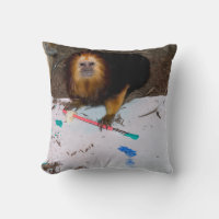 Pintura de Tamarin, León con Cabecera Dorada