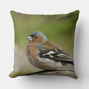Cojín Decorativo Pinzón vulgar macho (SALVAJE: Fringilla coelebs)