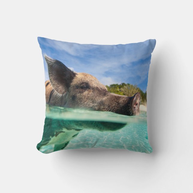 Cojín Decorativo Piscina de Exuma (Anverso)