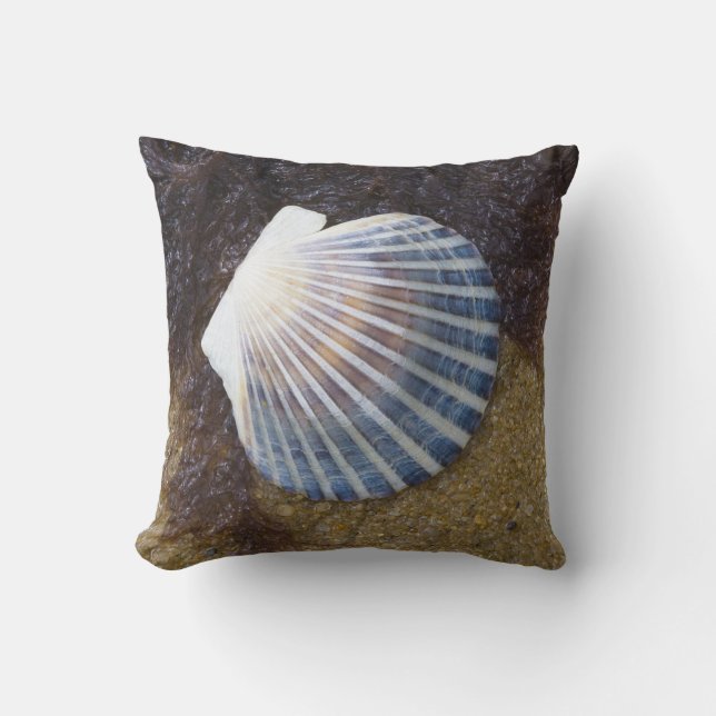 Cojín Decorativo Piscina de marea (Anverso)