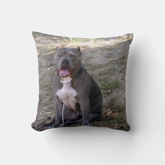 Cojín Decorativo Pit Bull Pillow (Anverso)