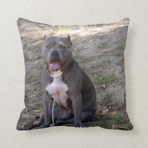 Cojín Decorativo Pit Bull Pillow