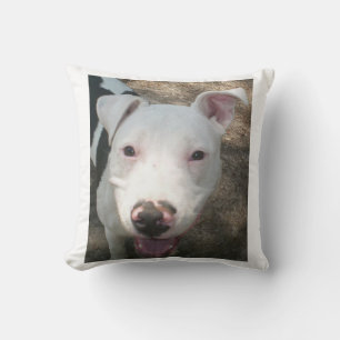 Cojín Decorativo pit bull terrier americano