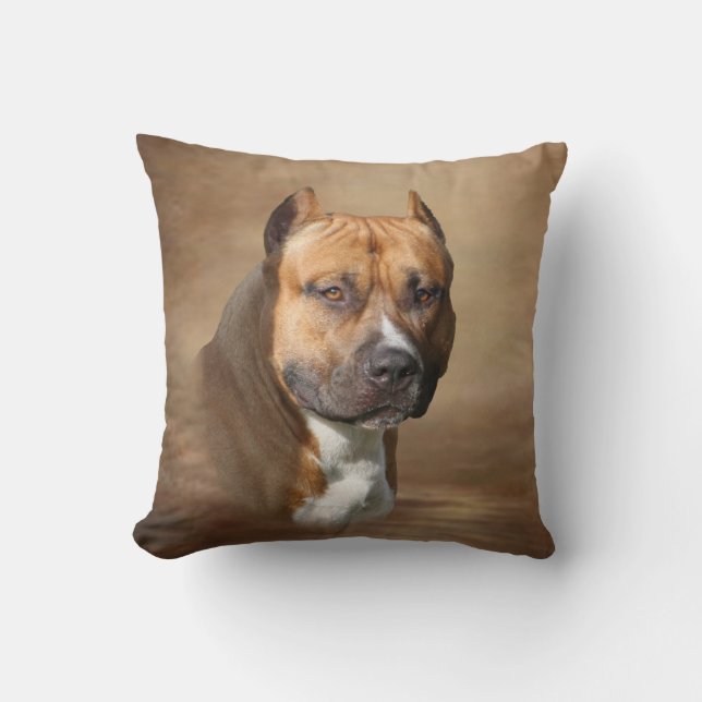Cojín Decorativo Pitbull americano (Anverso)