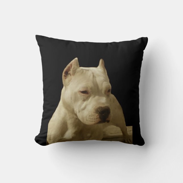 Cojín Decorativo Pitbull blanco Terrier (Anverso)