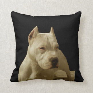 Cojín Decorativo Pitbull blanco Terrier