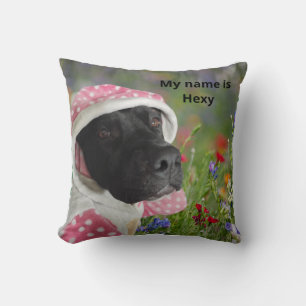Cojín Decorativo Pitbull negro en una capucha rosada de polka - Flo