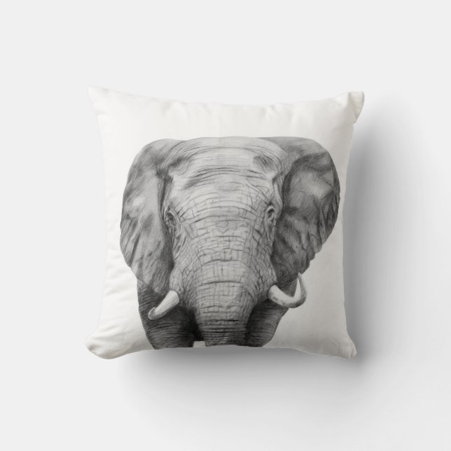 Cojín Decorativo Plan de respaldo IV (Anverso)