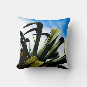 Cojín Decorativo Planta Aloe Verde con cielo azul brillante
