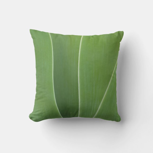 Cojín Decorativo Planta de Agave Primer Plano (Anverso)