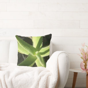 Cojín Decorativo Planta de Aloe