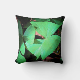 Cojín Decorativo Planta de Shamrock en Bloom