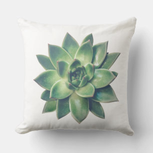 Cojín Decorativo Planta suculenta verde moderna y amigable sobre bl