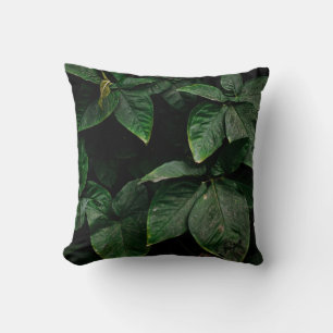 COJÍN DECORATIVO PLANTA VERDE EN FOTOGRAFÍA CENTRAL