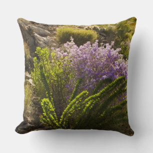 Cojín Decorativo plantas del desierto de Chihuahuan en flor