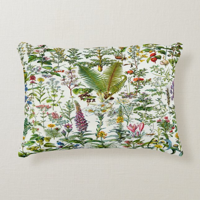 Cojín Decorativo Plantas medicinales (Anverso)