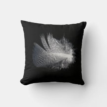 Pluma rayada negra y blanca flotando en un estanqu