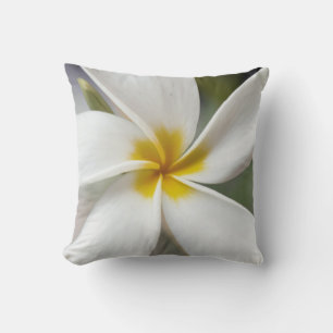 Cojín Decorativo Plumeria blanca - Retrato macro