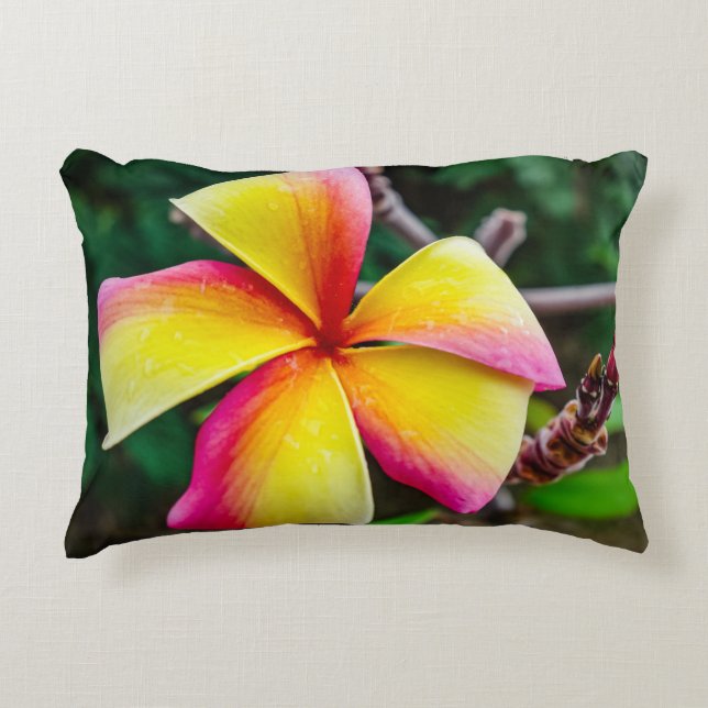 Cojín Decorativo Plumeria rubra (Anverso)