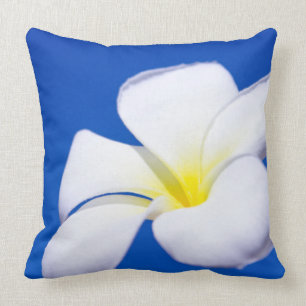 Cojín Decorativo Plumeria tropical blanco hermoso y cielo azul