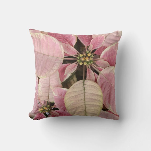 Cojín Decorativo Poinsettia (Anverso)